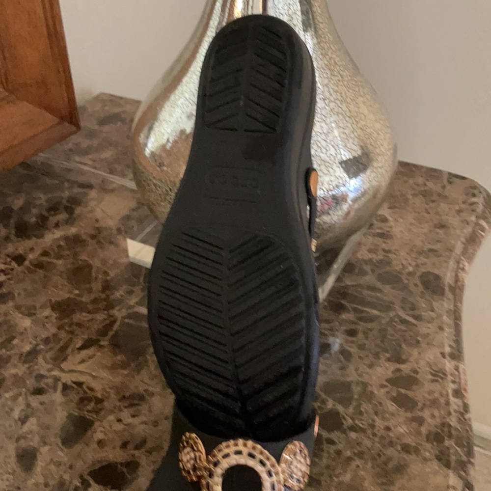 Cute Crocs! - Picture 4 of 4